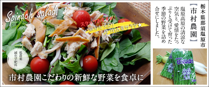 「市村農園」ページへ