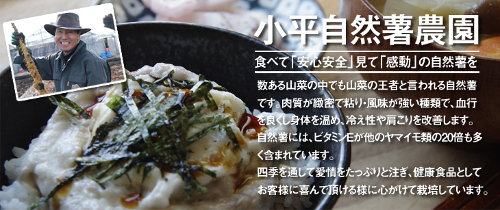 「小平自然薯農園」ページへ