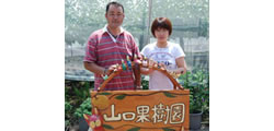 山口果樹園