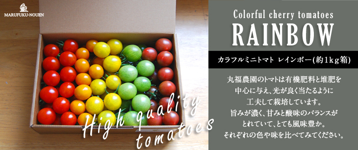 �u�ە��_���v�y�[�W��