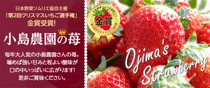 �u�����_���v�y�[�W��