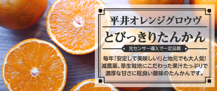 �u����I�����W�O���E���v�y�[�W��