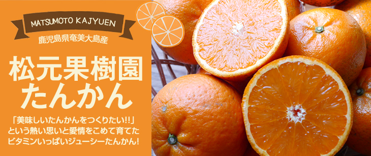 �u�����ʎ����v�y�[�W��