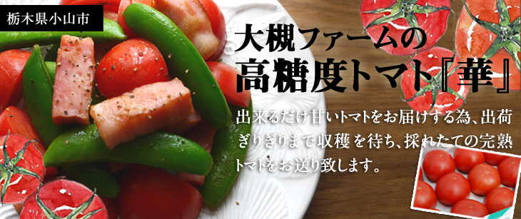 �u��΃t�@�[���v�y�[�W��