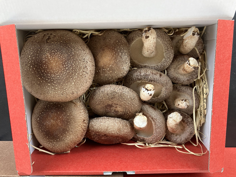 アグリバンク｜匠ウェブショップ