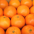 ����I�����W�O���E��