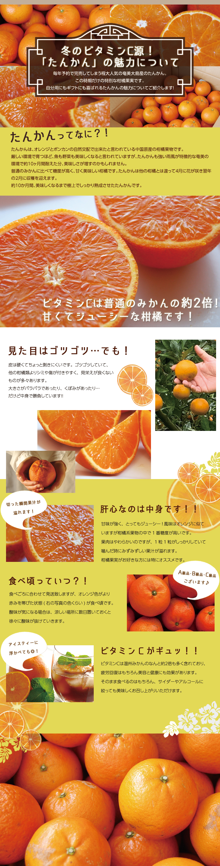 たんかんとは?