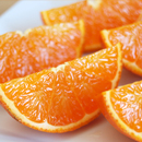 �����ʎ���