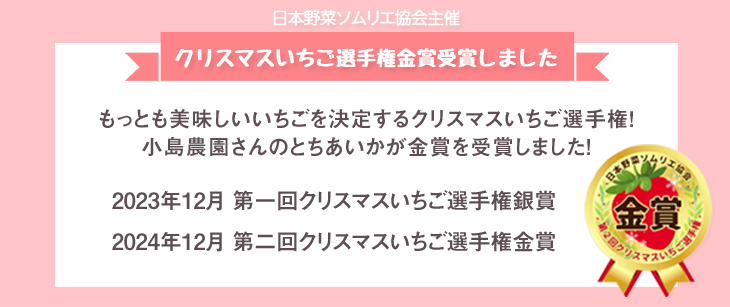 クリスマスいちごPR