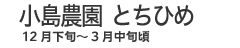 小島農園