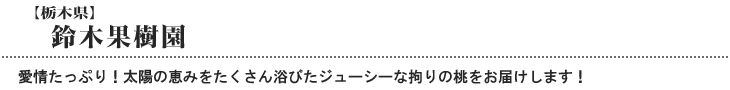 鈴木果樹園