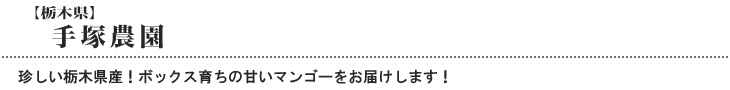 手塚農園