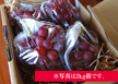 CԂǂ