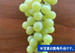 CԂǂ