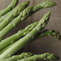 ���t�@�[��