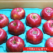nӂ񂲉