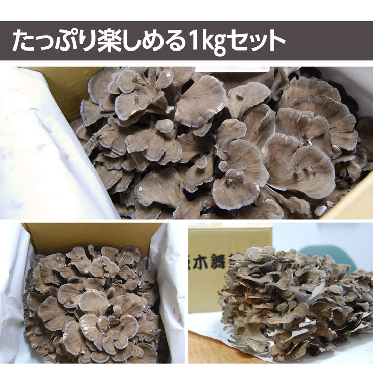 Љ摜02