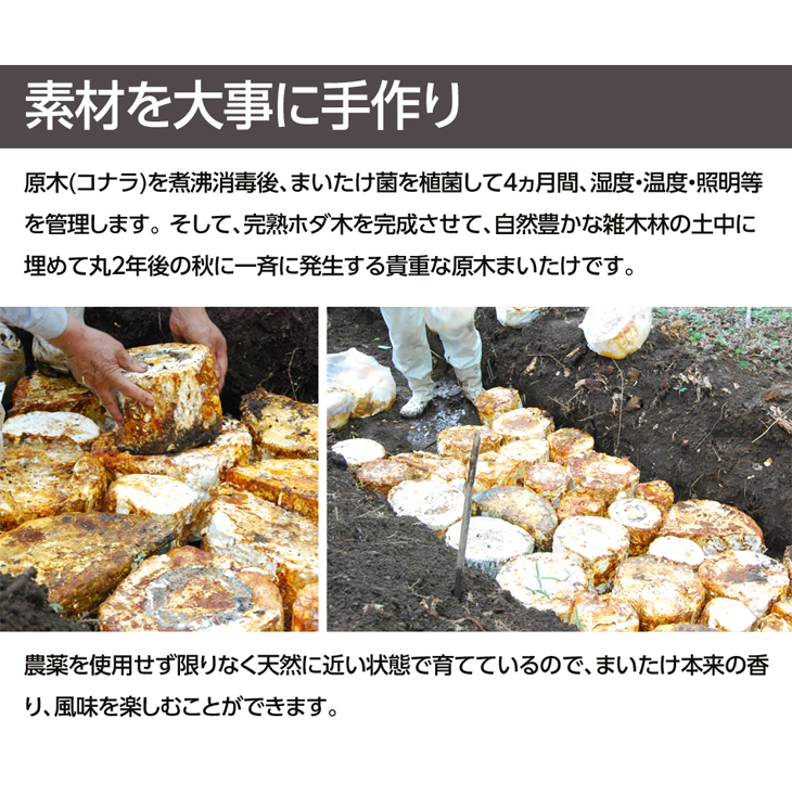 Љ摜03