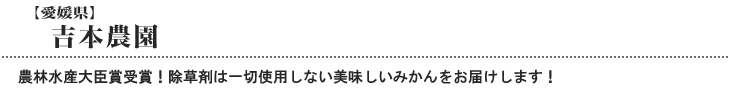 吉本農園